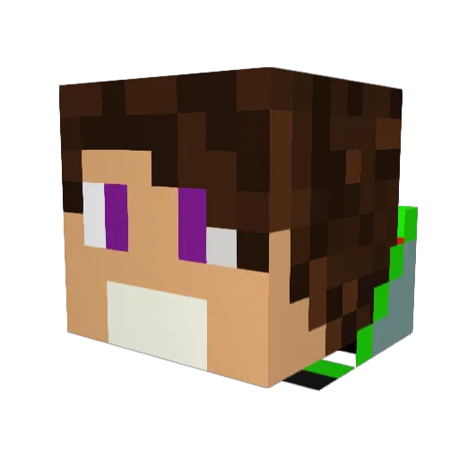 sharkie205 Minecraft avatar head, 3D render
