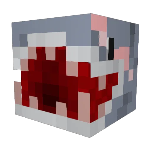 sharkmaster05 Minecraft avatar head, 3D render