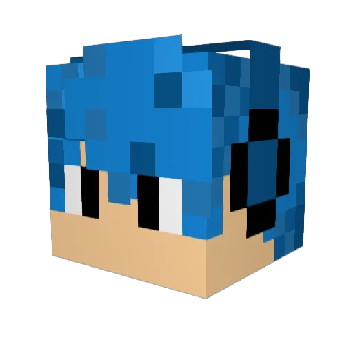 sharksebi Minecraft avatar head, 3D render