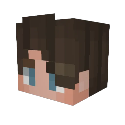 sharkslayer247 Minecraft avatar head, 3D render