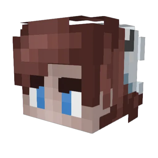 sharktoothtv Minecraft avatar head, 3D render