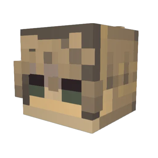 sharkvirite Minecraft avatar head, 3D render