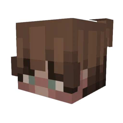sharky815 Minecraft avatar head, 3D render