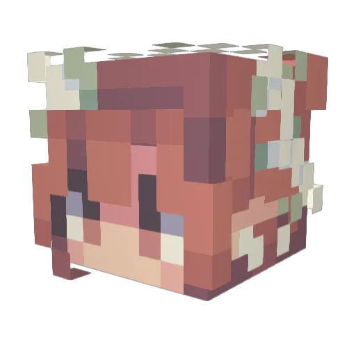 sharky912 Minecraft avatar head, 3D render