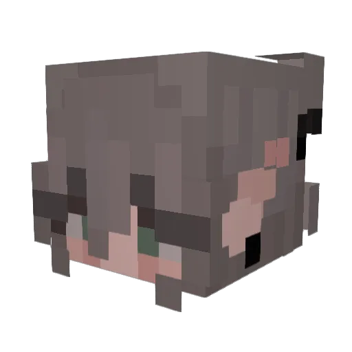 sharl3en_ Minecraft avatar head, 3D render