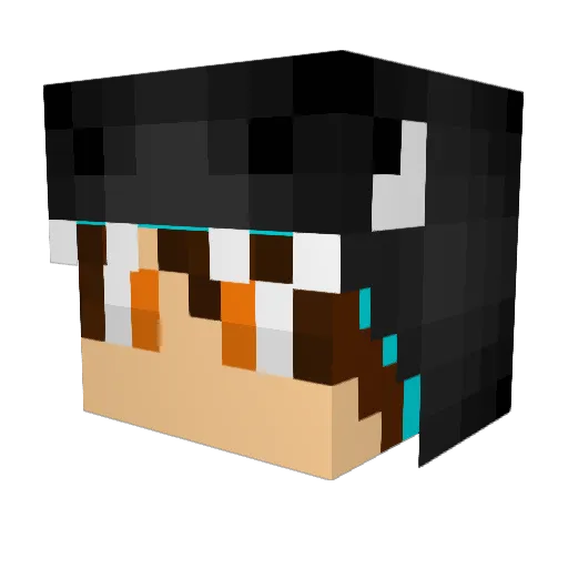 sharoninja Minecraft avatar head, 3D render