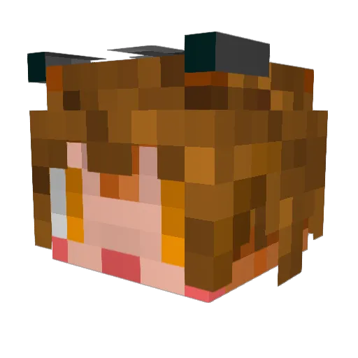sharooock Minecraft avatar head, 3D render