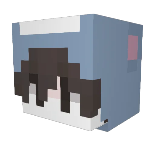 sharpbelly Minecraft avatar head, 3D render