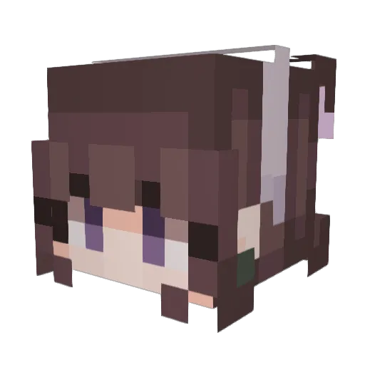 sharpshot117 Minecraft avatar head, 3D render