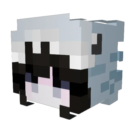 sharrquee Minecraft avatar head, 3D render