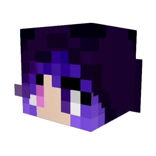 shashoutu Minecraft avatar head, 3D render