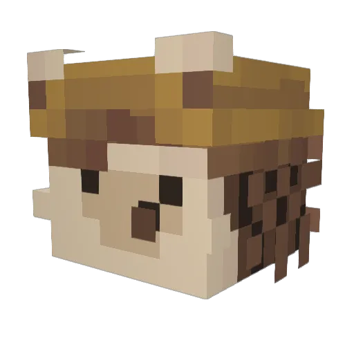 shashusho22 Minecraft avatar head, 3D render