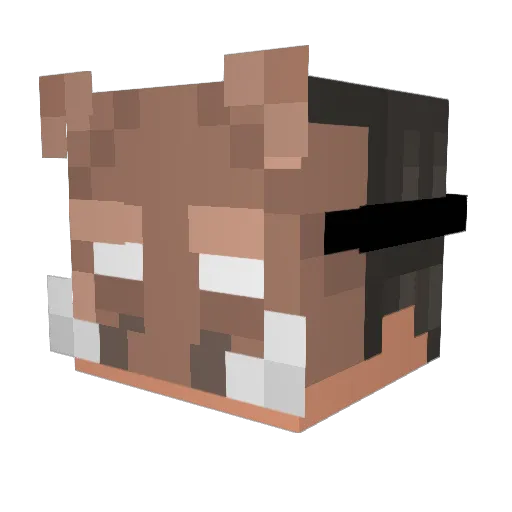 shatterpoint_nex Minecraft avatar head, 3D render
