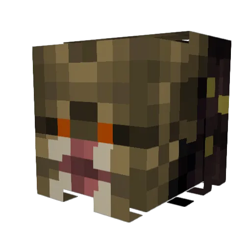 shauja Minecraft avatar head, 3D render
