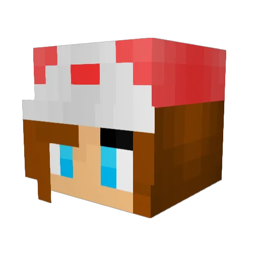 shaunaa27 Minecraft avatar head, 3D render