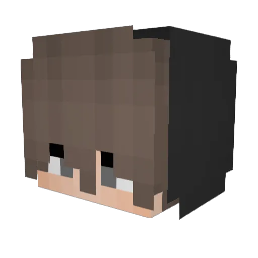 shaunwhitesucz Minecraft avatar head, 3D render