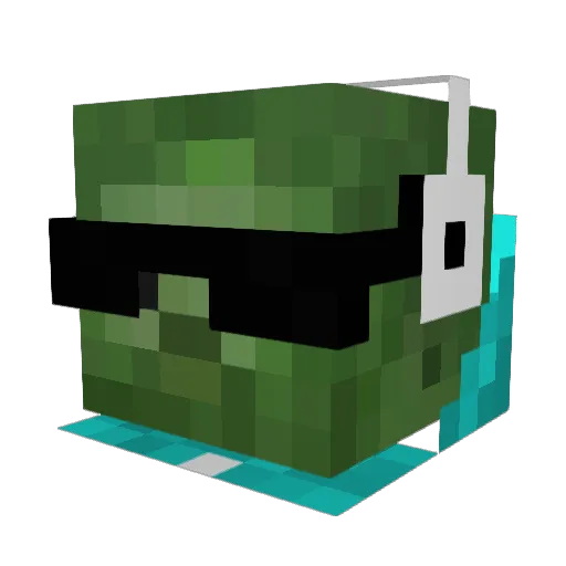 shauny9 Minecraft avatar head, 3D render