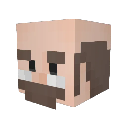 shautis Minecraft avatar head, 3D render