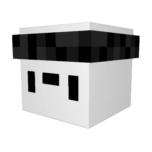shawarma_ Minecraft avatar head, 3D render