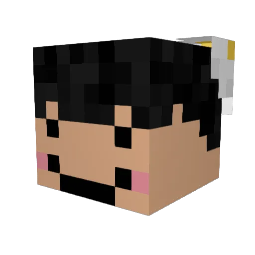shawee Minecraft avatar head, 3D render