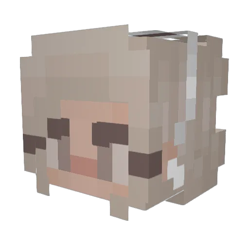 shawkins08 Minecraft avatar head, 3D render