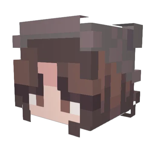 shawn2 Minecraft avatar head, 3D render