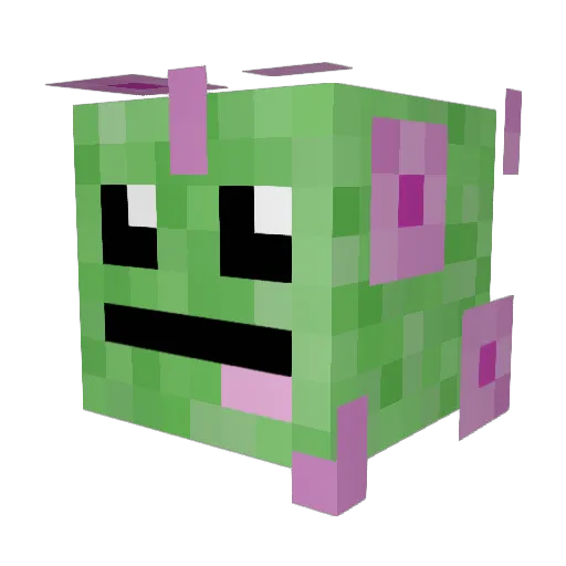 shawn_notme Minecraft avatar head, 3D render