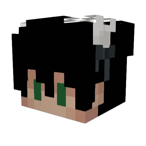 shawndoesntexist Minecraft avatar head, 3D render