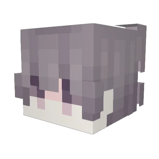 shawnsiu Minecraft avatar head, 3D render