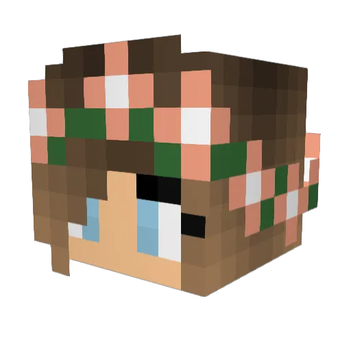 shawny02 Minecraft avatar head, 3D render