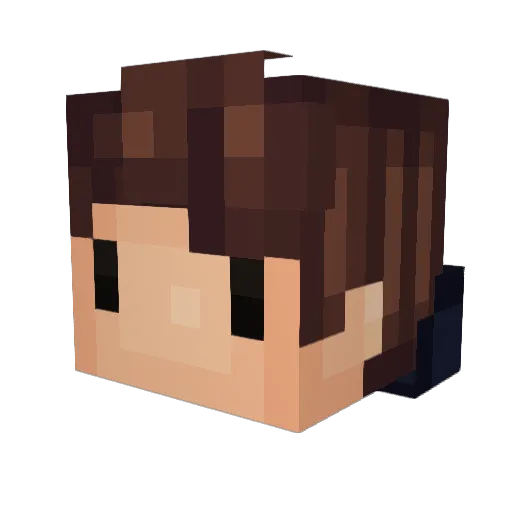 shawnyPRO Minecraft avatar head, 3D render
