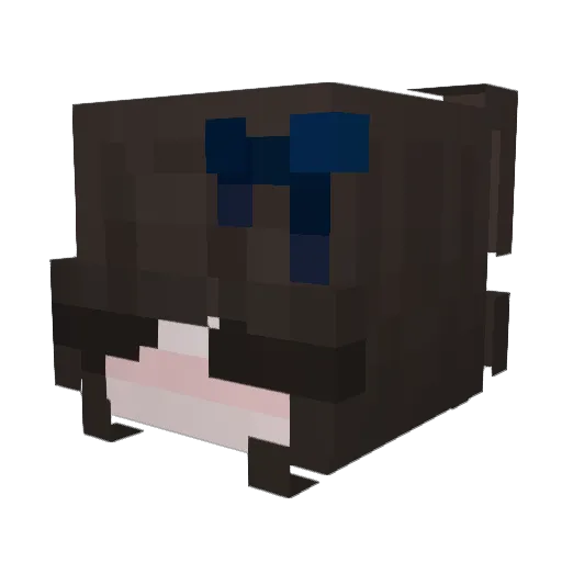 shawt1e Minecraft avatar head, 3D render