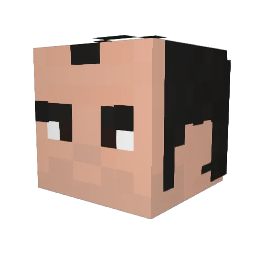 shawtyduncs Minecraft avatar head, 3D render