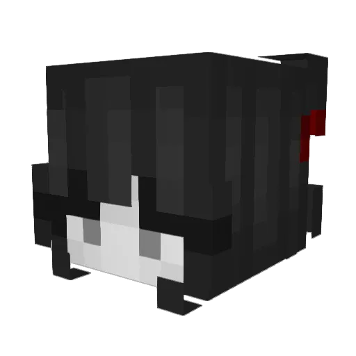 shawtyisabaddie Minecraft avatar head, 3D render