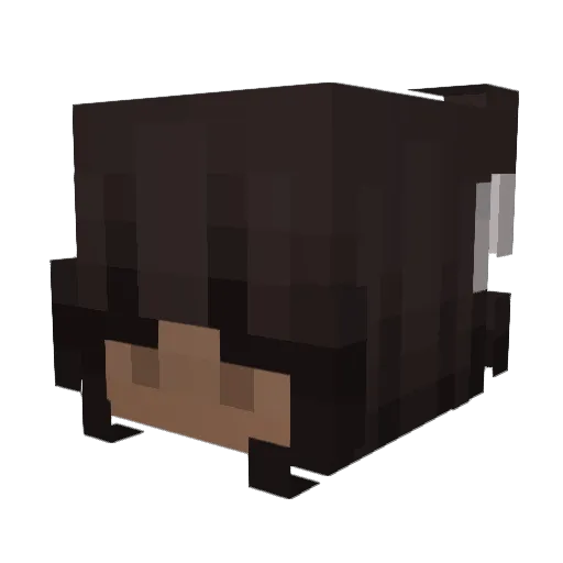 shawtylauren Minecraft avatar head, 3D render