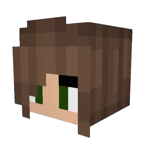 shaxaxe Minecraft avatar head, 3D render