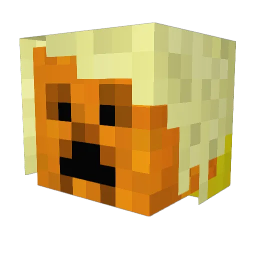 shay11155 Minecraft avatar head, 3D render