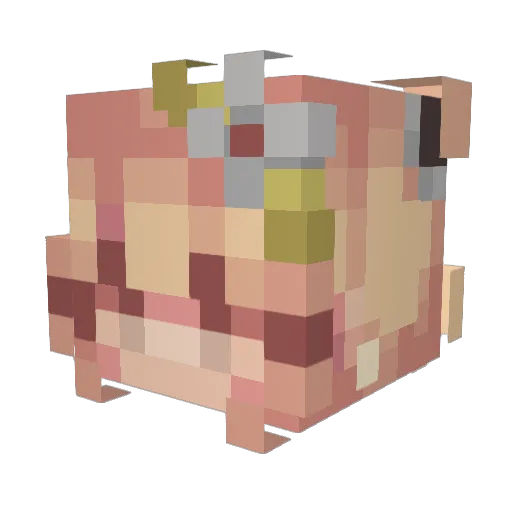 shay_rg Minecraft avatar head, 3D render