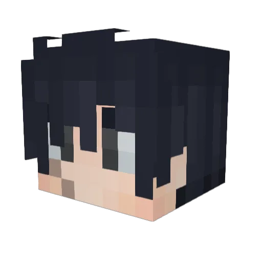 shayboi56 Minecraft avatar head, 3D render