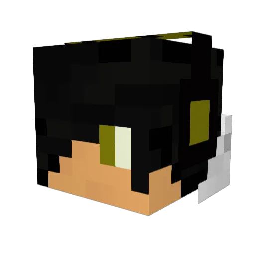 shayh123 Minecraft avatar head, 3D render