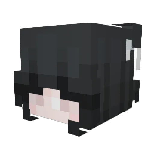 shaylameow Minecraft avatar head, 3D render