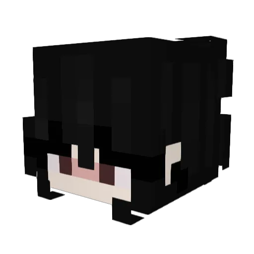 shaylongbao Minecraft avatar head, 3D render