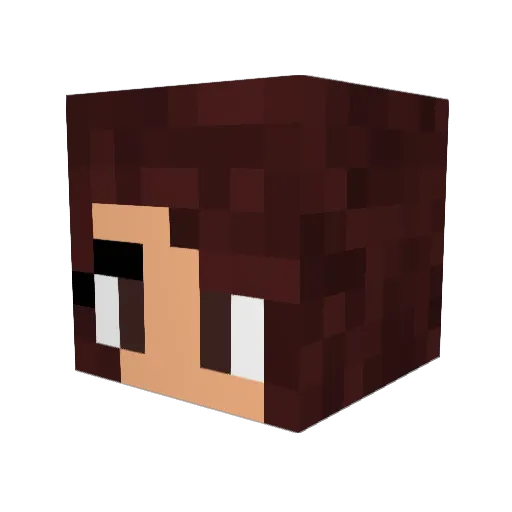 shaymingamer492 Minecraft avatar head, 3D render