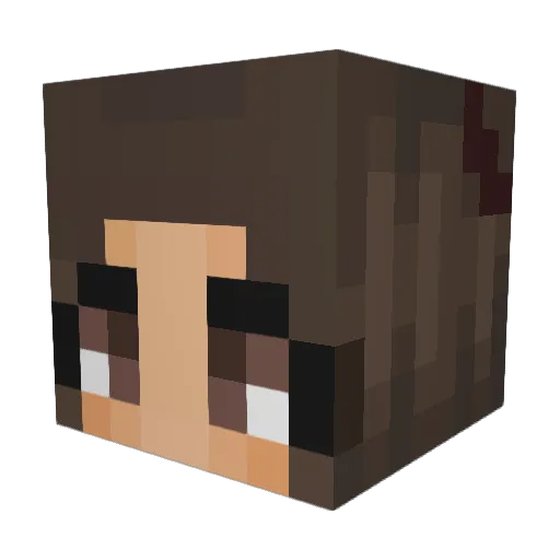 shayndco Minecraft avatar head, 3D render