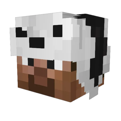 shaz Minecraft avatar head, 3D render