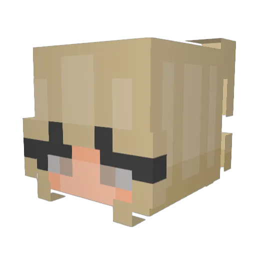 shclly__ Minecraft avatar head, 3D render