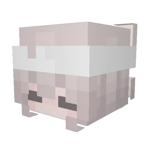 shdwchkntimberly Minecraft avatar head, 3D render