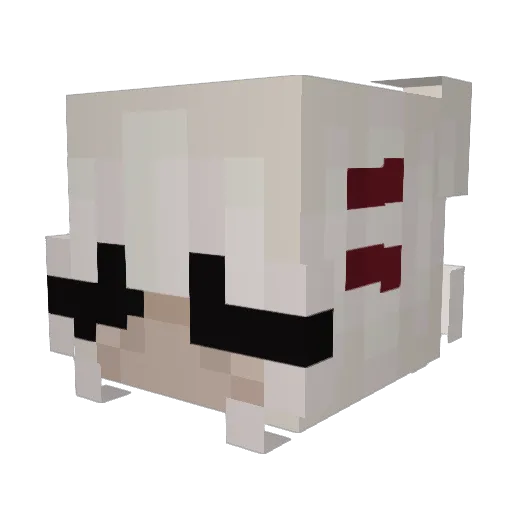 she_nahh Minecraft avatar head, 3D render