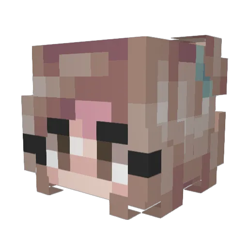 shea_16 Minecraft avatar head, 3D render