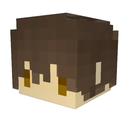 sheanl Minecraft avatar head, 3D render